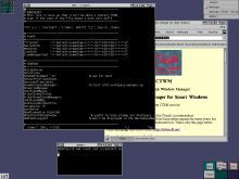 CTWM screenshot CTWM screenshot