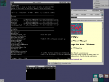 CTWM screenshot