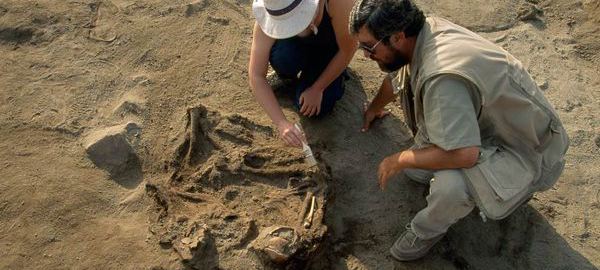 Software Archeology with git